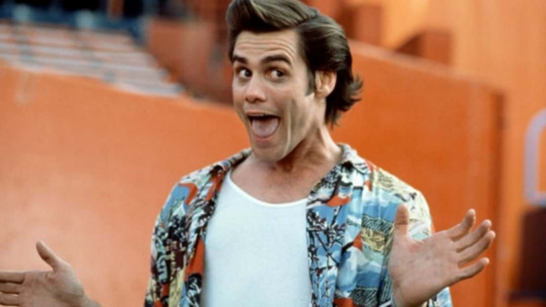 Article heading image for Ace Ventura Is Being Lined Up For A Reboot