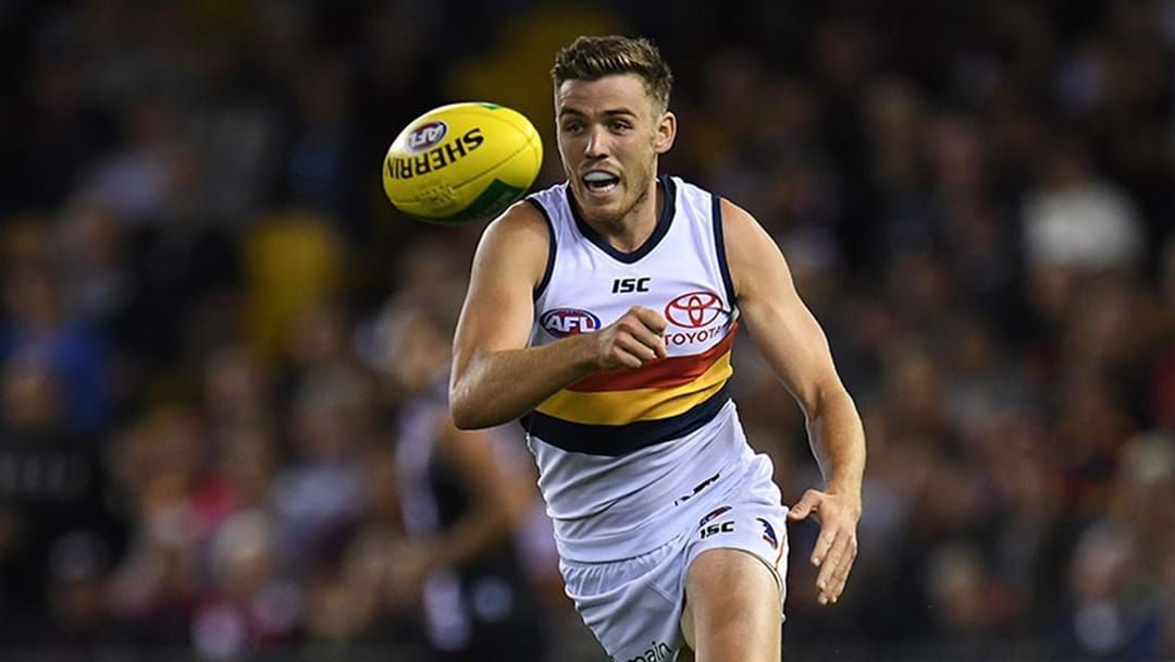 Article heading image for Paul Seedsman Ruled Out Of The Showdown