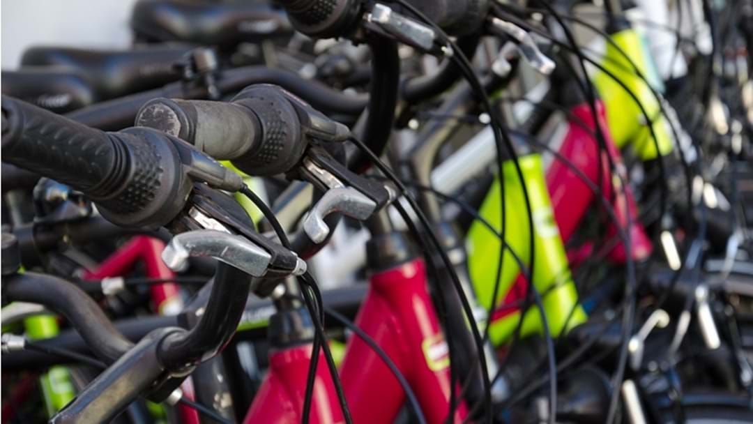 Article heading image for South Burnett Council to Trial Free Bike Hire Scheme