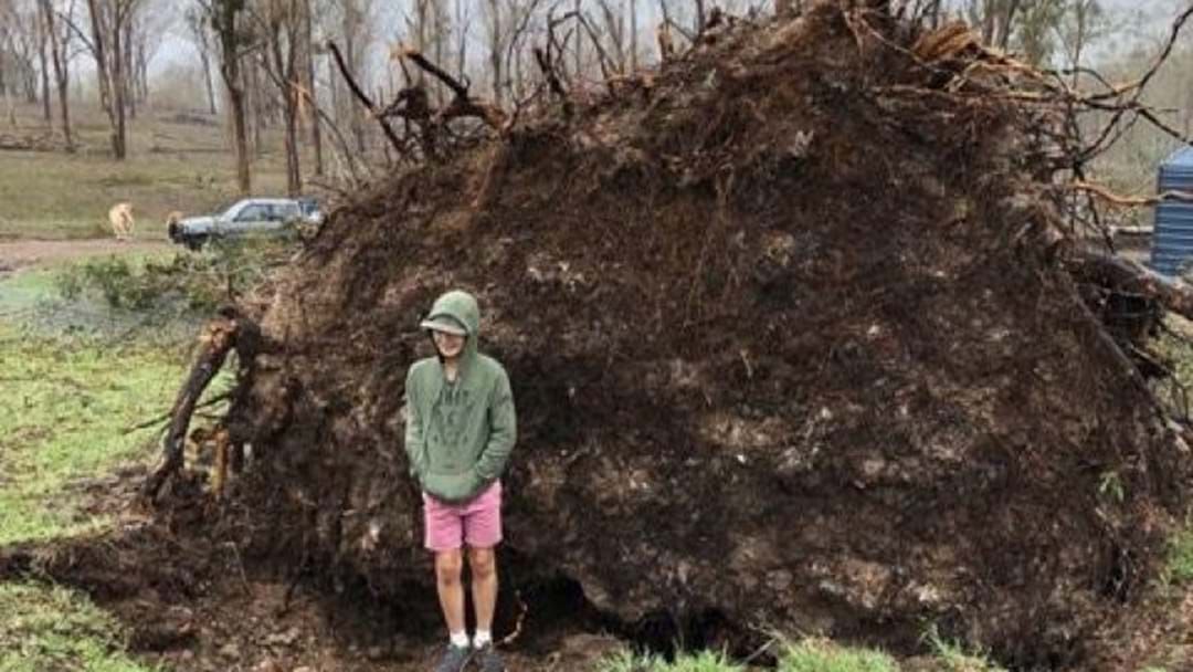 Article heading image for "He Was Like A Balloon": The 11-Year-Old Queensland Boy Who Survived Being Crushed By A Tree