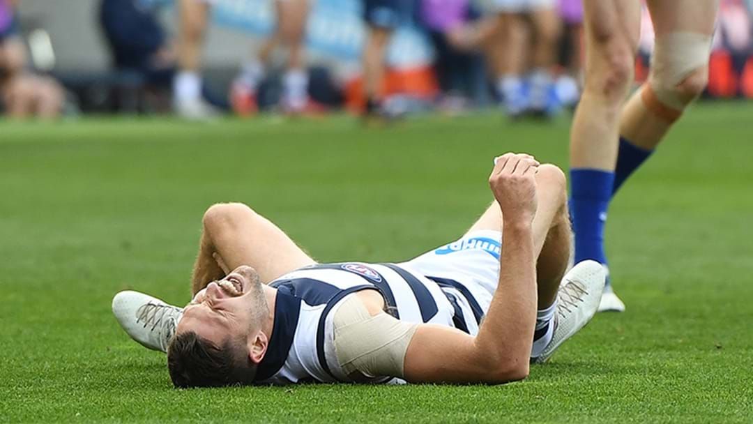 Article heading image for Geelong Confirms Aaron Black Has Torn His ACL