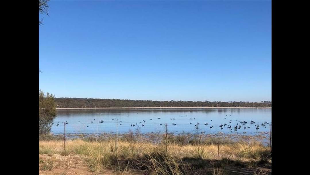 Article heading image for Push to save Wagin Lake