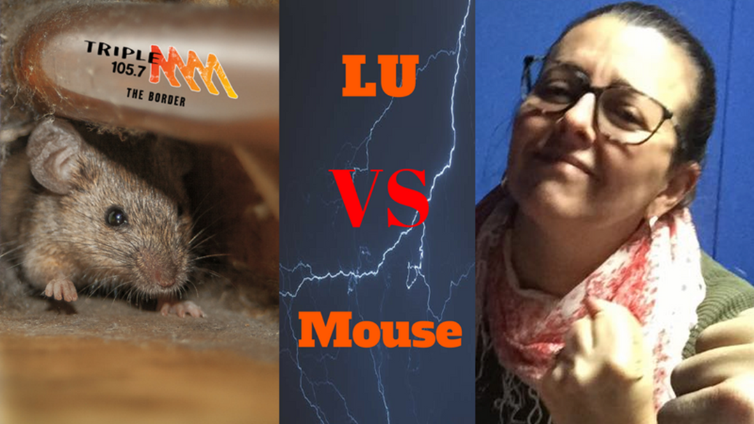 Article heading image for Lu vs Mouse