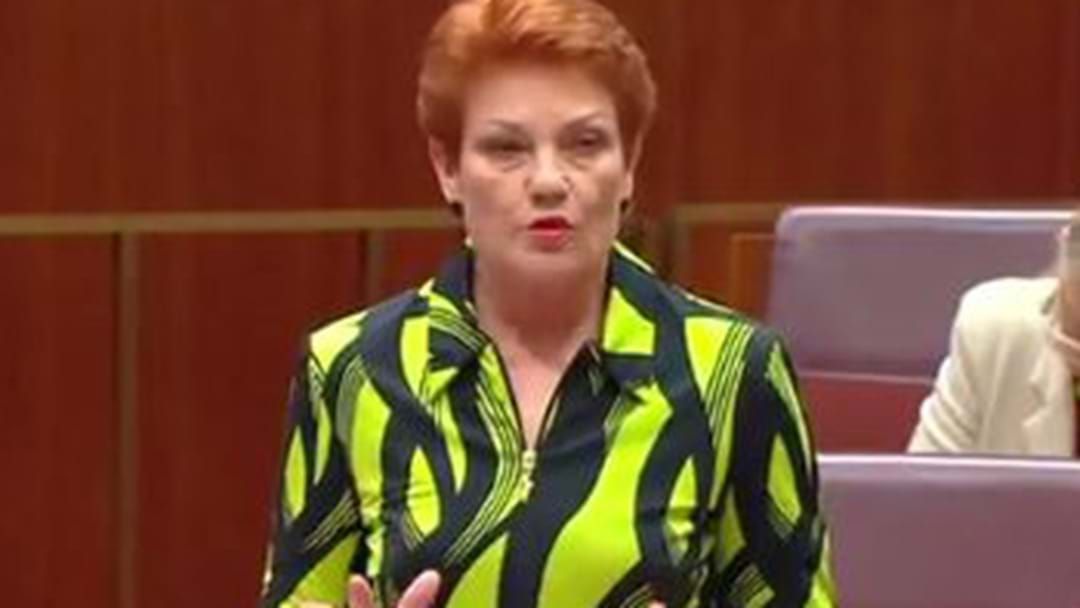 Article heading image for Pauline Hanson Defends Child Autism Views As ‘Misrepresentation’