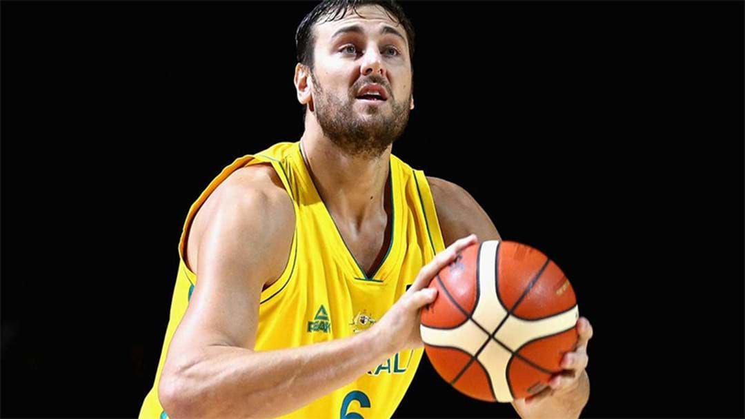 Article heading image for Reports Andrew Bogut Has Signed A One-Year Deal With HUGE NBA Club