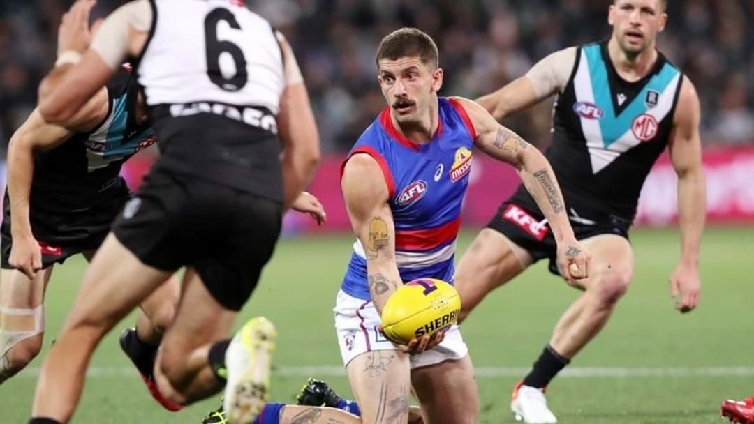 Article heading image for Fifi Gives Bulldog's Player Tom Liberatore The Greatest Pep-Talk Of All Time 