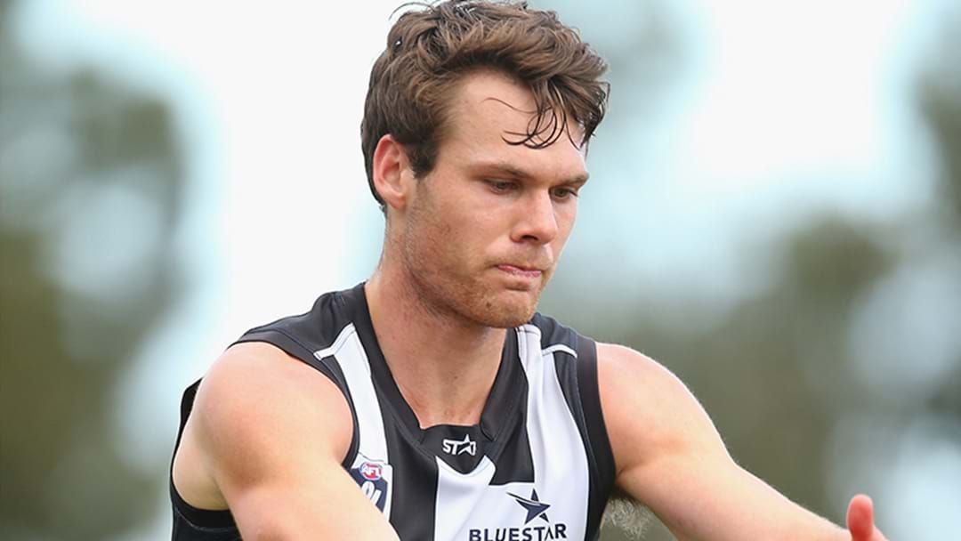Article heading image for Collingwood Youngsters Get Leather Poisoning In The VFL