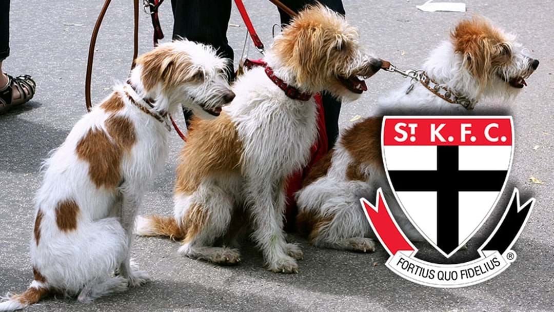Article heading image for St Kilda Has Signed A Pet Membership Sponsor