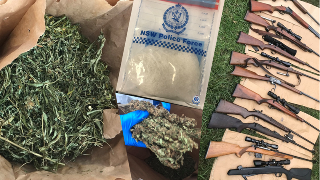 Article heading image for 16 People Charged After Hundreds Of Cannabis Plants Seized