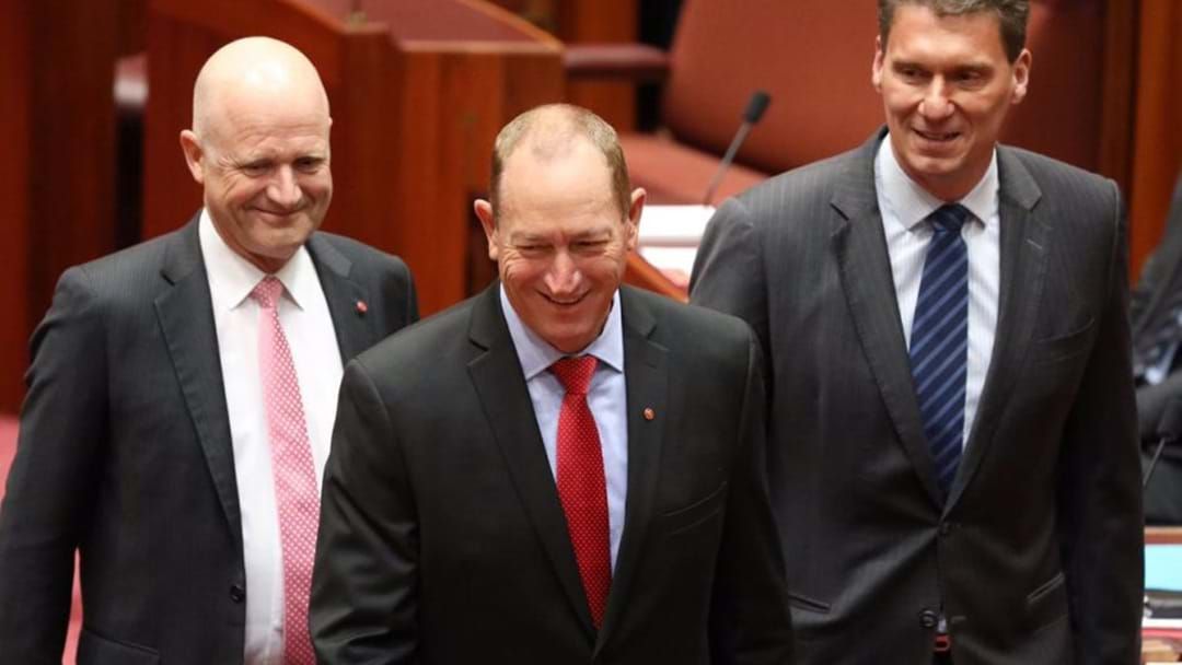 Article heading image for Fraser Anning Reckons Pauline Hanson Booted Him From One Nation