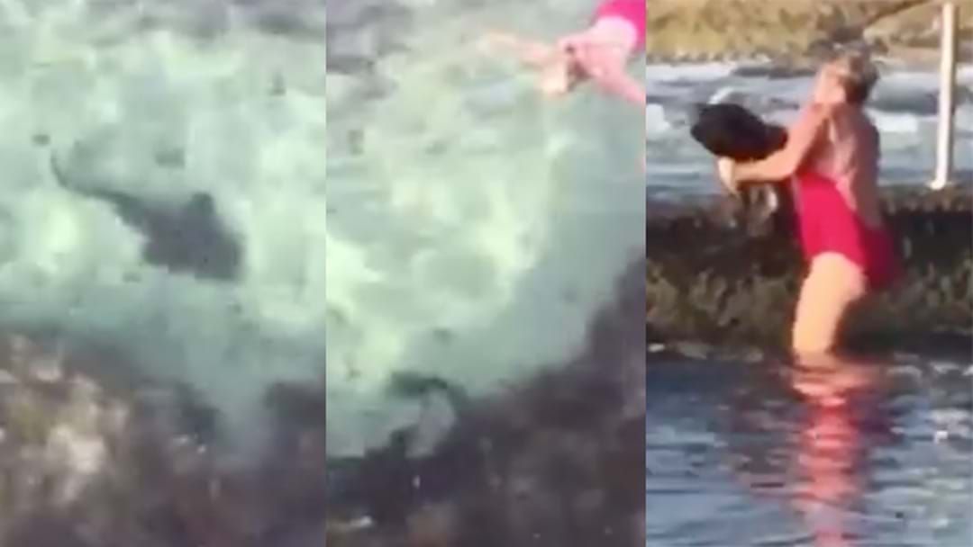 Article heading image for Video Emerges Of Sydney Mum Wrestling A SHARK Out Of Rock Pool 