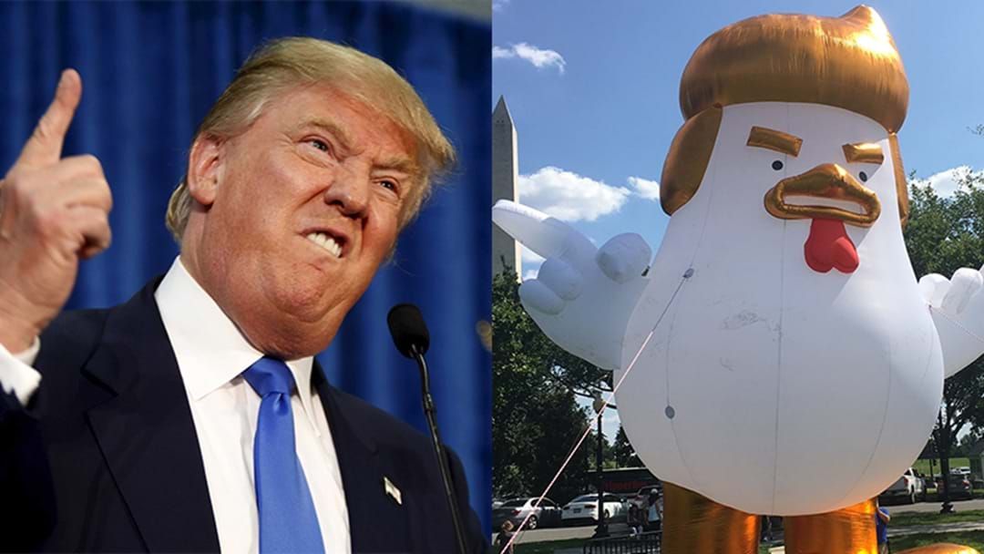 Article heading image for There's Currently A Giant Inflatable 'Trump Chicken' At The White House
