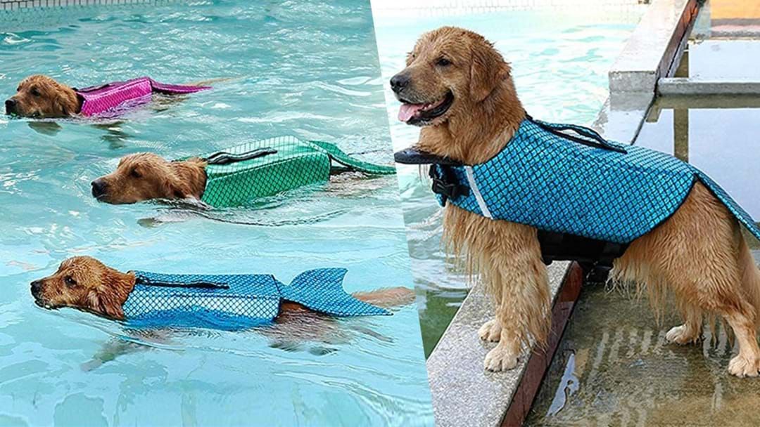 Article heading image for Mermaid Life Jackets For Dogs Exist & They’re Paw-fection 