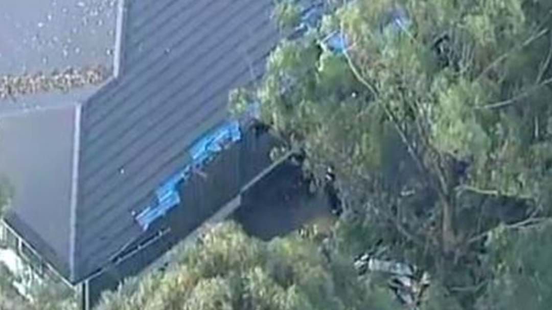 Article heading image for A Large Tree Has Fallen On A Sydney Apartment Block