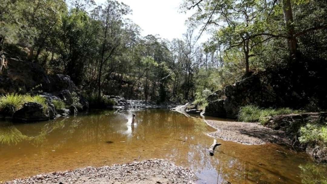 Article heading image for Man Who Vanished In Late Night Creek Dip Northwest Of Brisbane Has Been Found 