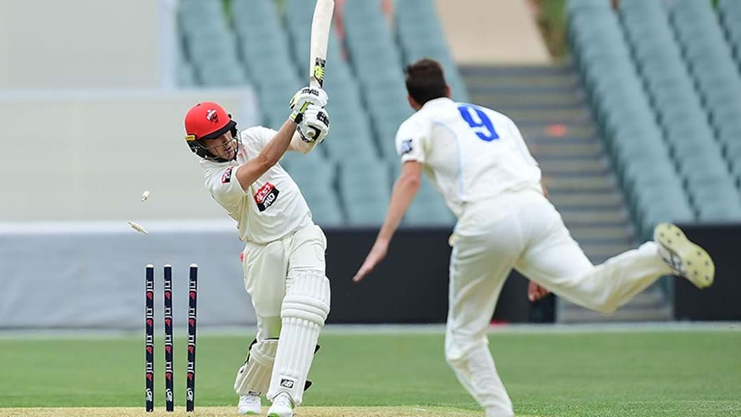 Article heading image for South Australia Just Got Absolutely Routed In The Sheffield Shield