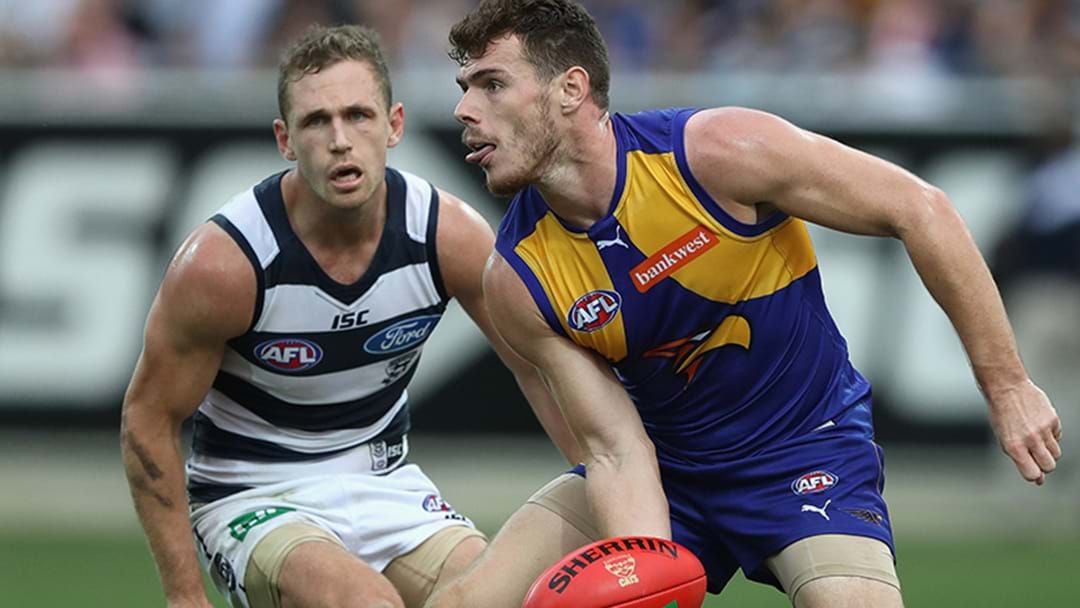 Article heading image for TEAMS: Eagles v Cats