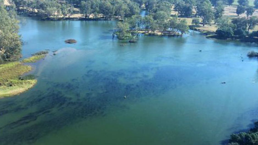 Article heading image for The Blue Green Algae In Lake Hume Is Finally Explained... 