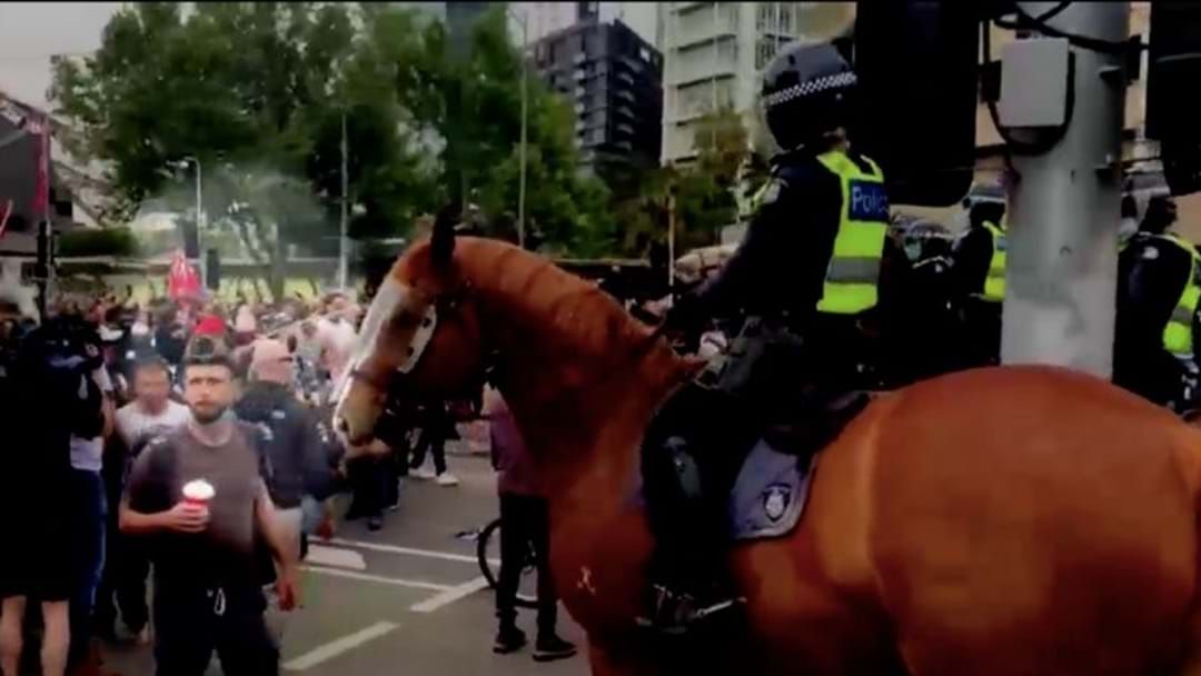 Article heading image for Melbourne Protestor Jailed Over Assault On Police Horse & Officer