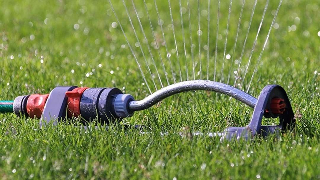 Article heading image for Mackay Council Is Cracking Down On Water Use So Check When You Can Water Your Lawn