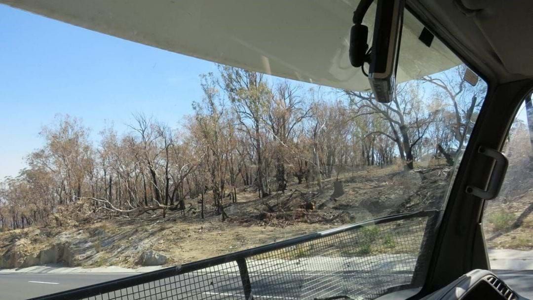 Article heading image for Here's How You Can Help With Drought & Bushfire Relief This Weekend!