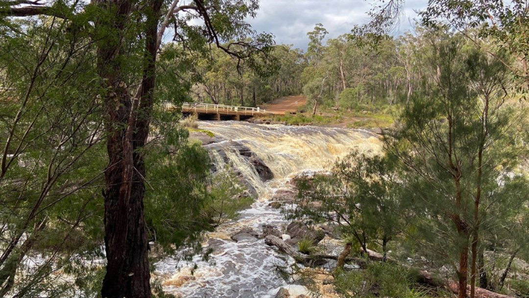 Article heading image for Search For Missing 8 Year Old Boy At Fernhook Falls Ends In Tragedy