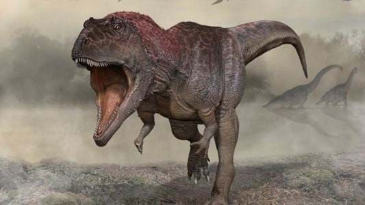 Científicos descubren los restos de una nueva especie de dinosaurio depredador