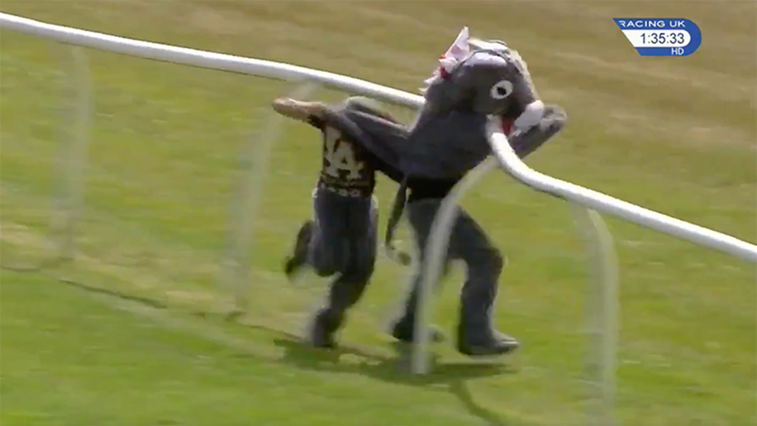 Article heading image for Watch Two Blokes In A Donkey Costume Obliterate Themselves During A Charity Running Race