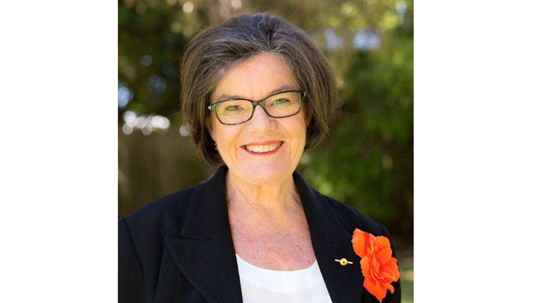 Article heading image for Cathy McGowan batting for Border childcare in Parliament