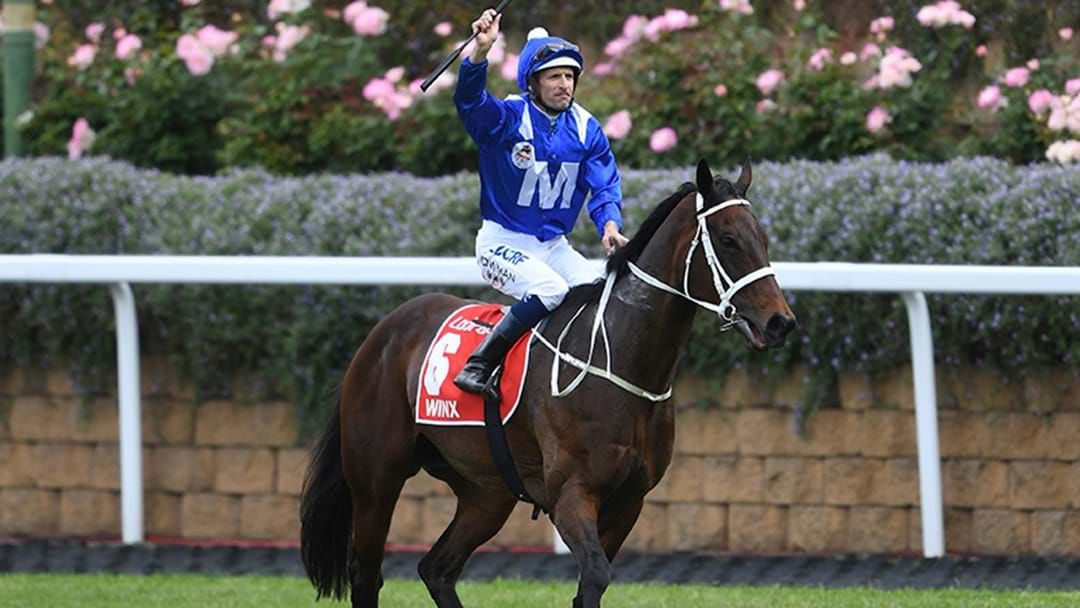 Article heading image for Winx Storms Home In Apollo Stakes To Make It 30 Straight Wins