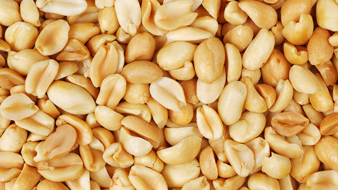 Article heading image for Melbourne's Massive Peanut Allergy Breakthrough