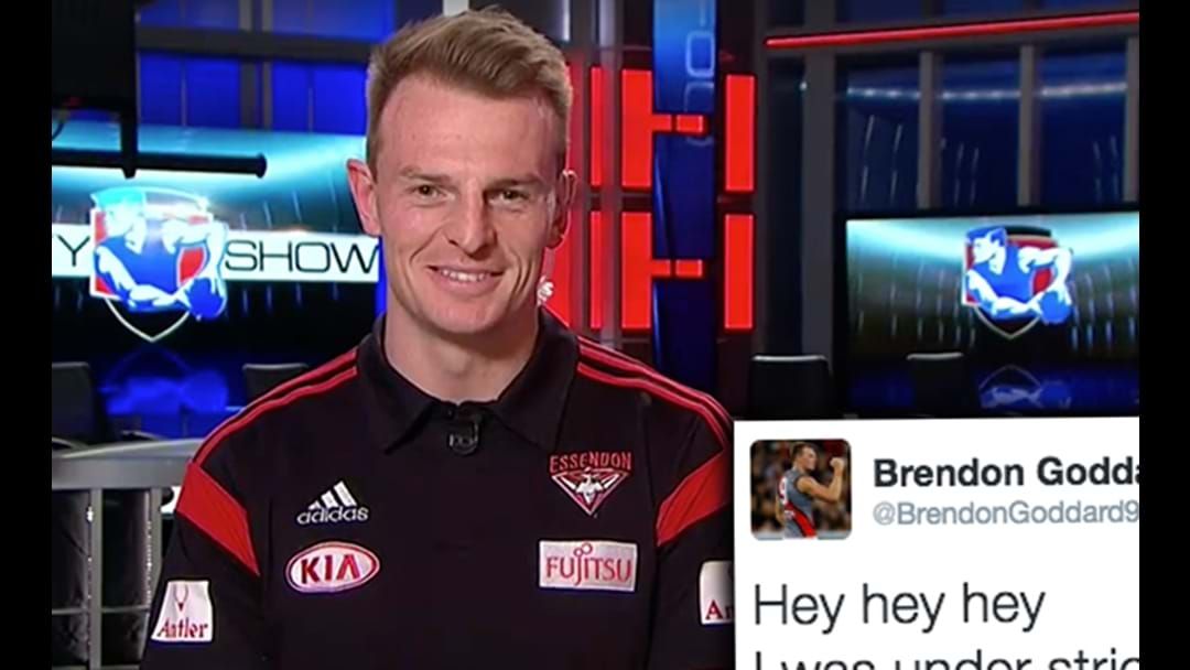 Article heading image for Brendon Goddard Defends His Massive Chompers Controversy