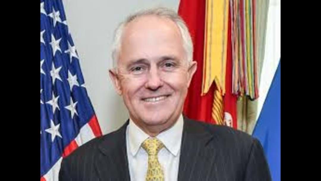 Article heading image for Who did Pm Malcolm Turnbull see live this week?