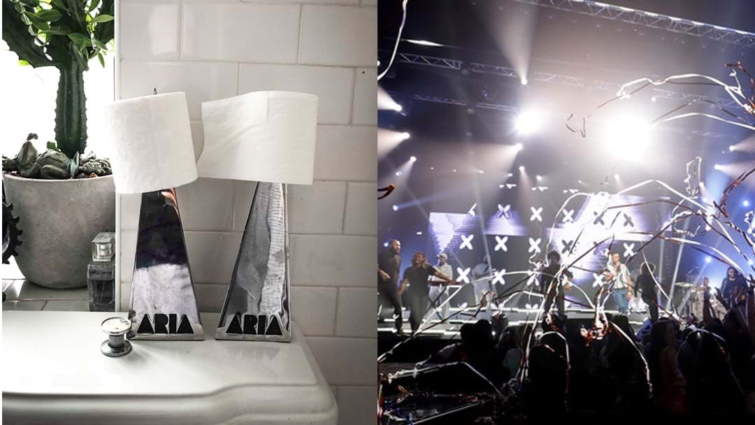 Article heading image for This Artist Uses Their ARIA Awards As Toilet Role Holders