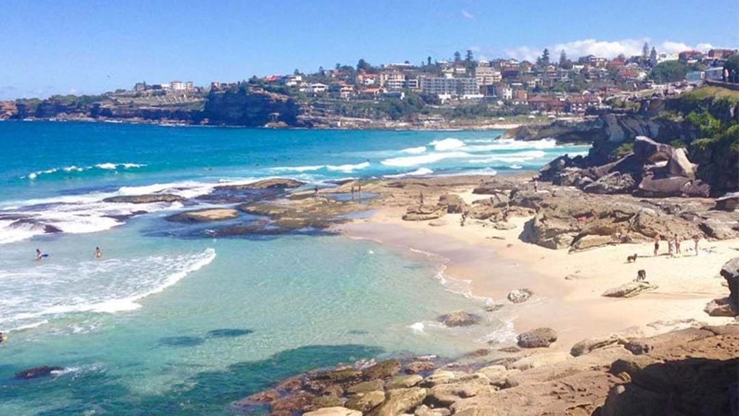 Article heading image for Sydney's Disappearing Beach That Only Emerges Every Few Years Is Back!