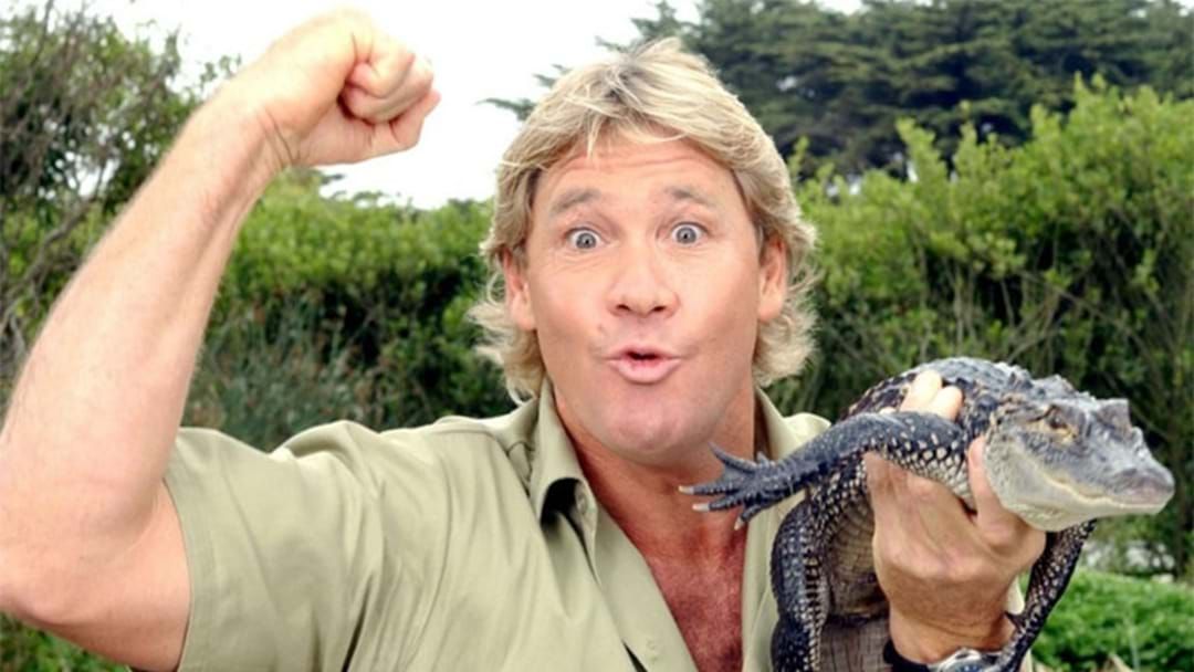 Article heading image for Jamie Seymour Tells Us What Happened On Croc 1 The Day Steve Irwin Died 