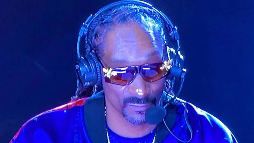 Article heading image for Snoop Dogg Has Been Offered $1.3 Million To "Commentate" Porn For The Deaf