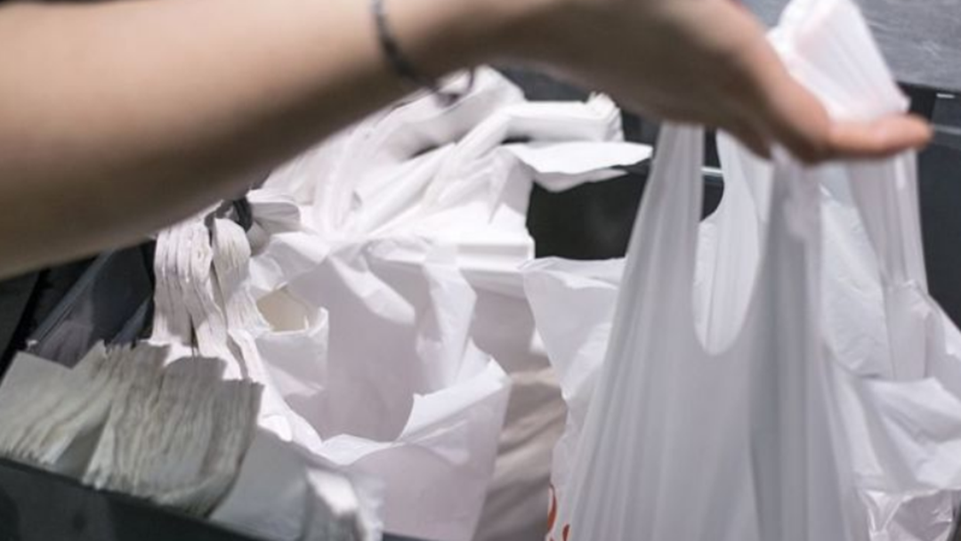 Article heading image for NSW Bans Single-Use Plastic Bags From Today
