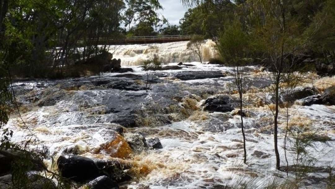 Article heading image for The Search Continues For Missing Boy At Fernhook Falls 