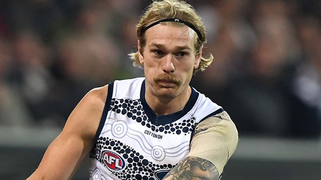 Article heading image for Stewart Says Young Cat Could Become One Of The AFL's Best