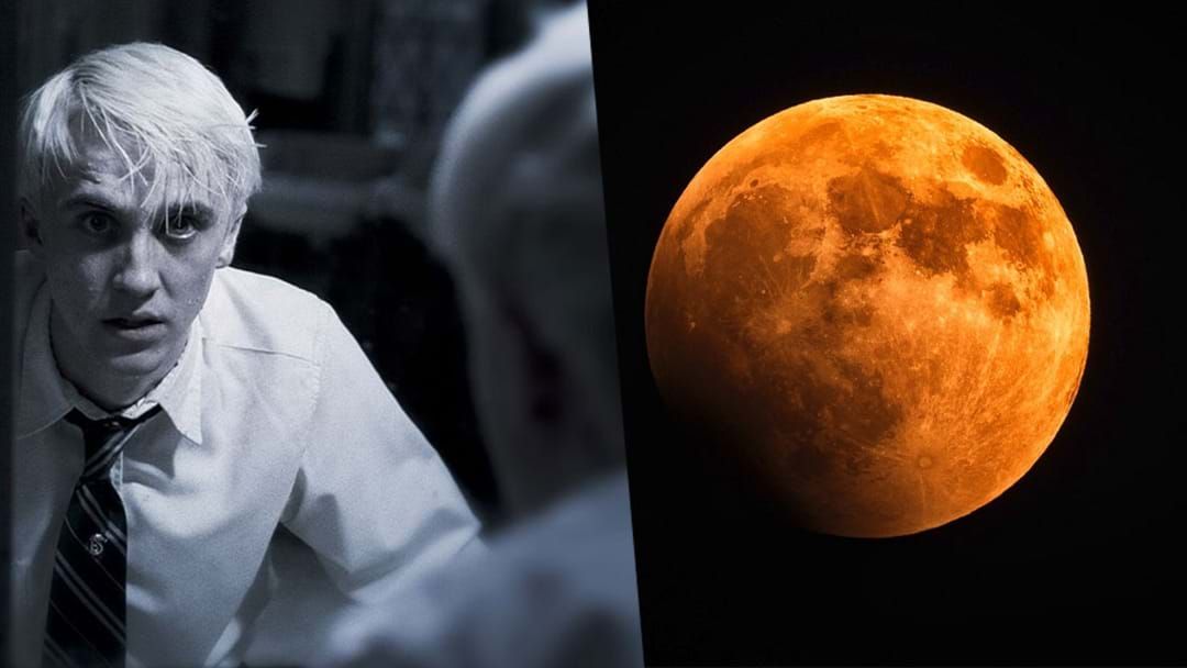 Article heading image for The 'Half-Blood Thunder Moon' On July 17 Is Going To Make Everyone Freak Out
