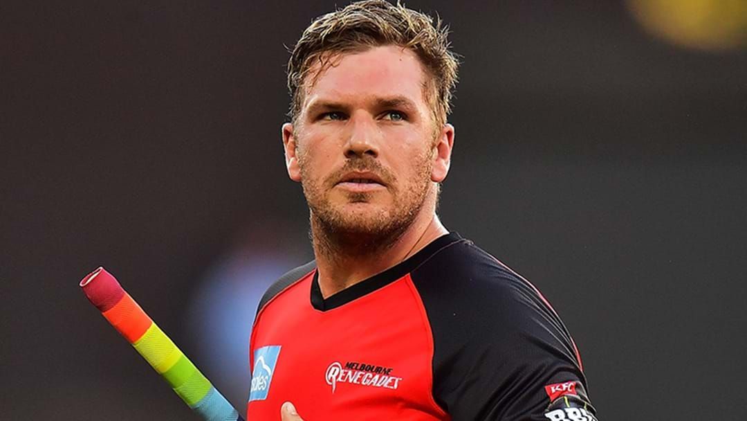 Article heading image for Aaron Finch Tipped To Reclaim Australian Captaincy