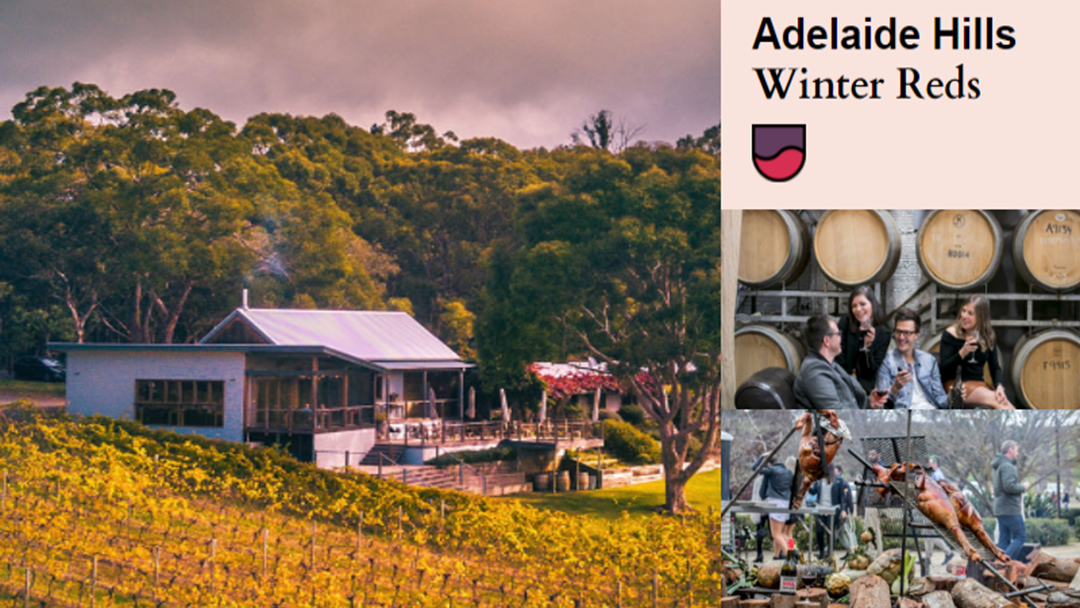 Article heading image for Winter Reds Calling Wine Lovers To The Hills This Weekend 