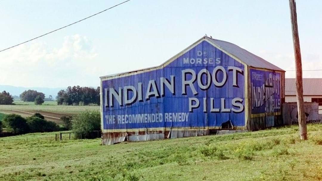 Article heading image for The Hilarious Truth About The Indian Root Pills Building