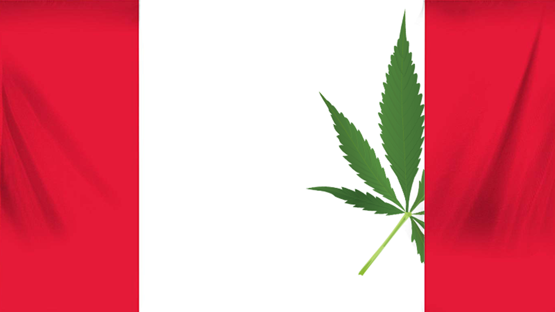Article heading image for Canada Has Almost Run Out Of Weed Two Days After Legalising It