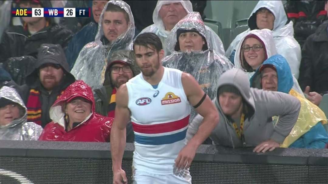 Article heading image for Adelaide To Investigate Fan Incident With Easton Wood